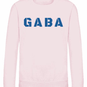 Kids Sweatshirt Baby Pink Chest Logo
