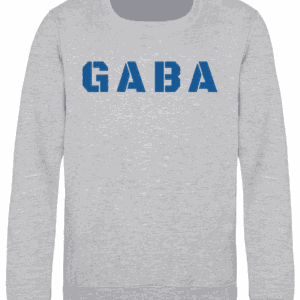 Kids Sweatshirt Heather Grey Chest Logo