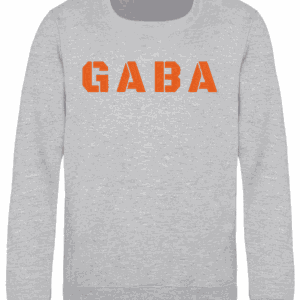 Kids Sweatshirt Heather Grey Chest Logo