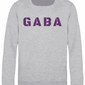 Kids Sweatshirt Heather Grey Chest Logo