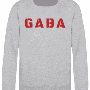 Kids Sweatshirt Heather Grey Chest Logo