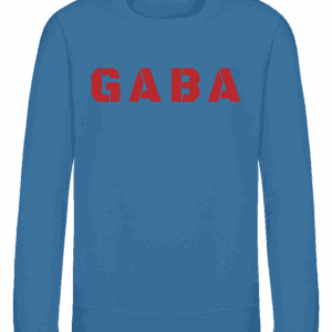 Kids Sweatshirt Sapphire Blue Chest Logo